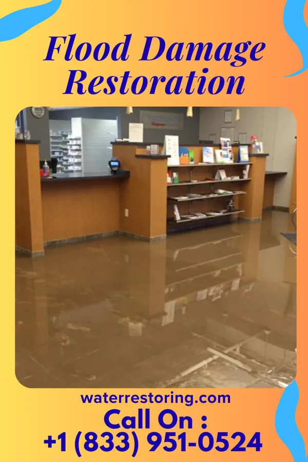 Flood Damage Restoration in Whitlock, TN