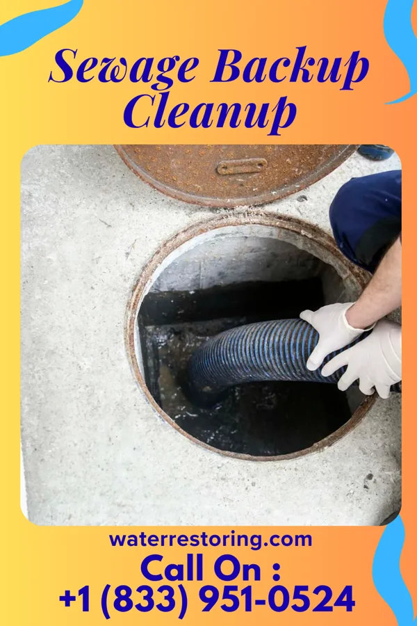 Sewage Backup Cleanup in Whitlock, TN