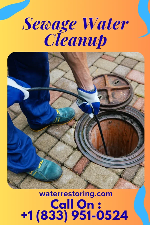Sewage Water Cleanup in Whitlock, TN