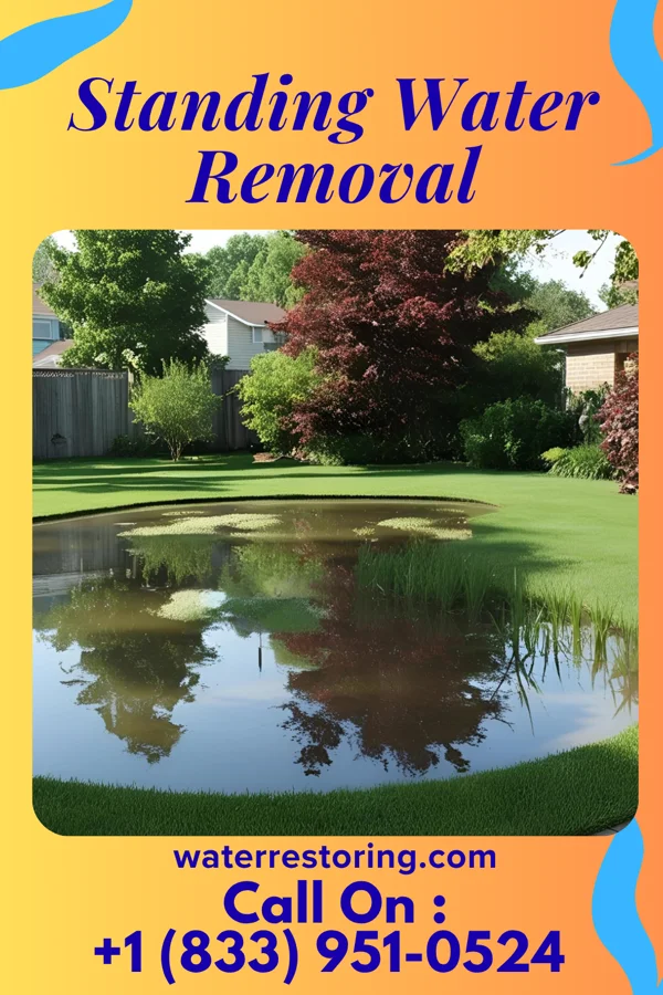 Standing Water Removal in Whitlock, TN